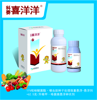 科赛喜洋洋