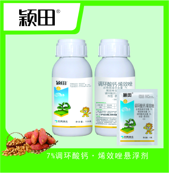 产品解决方案